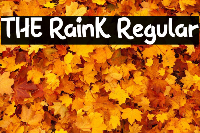 THE RainK Regular Example 3