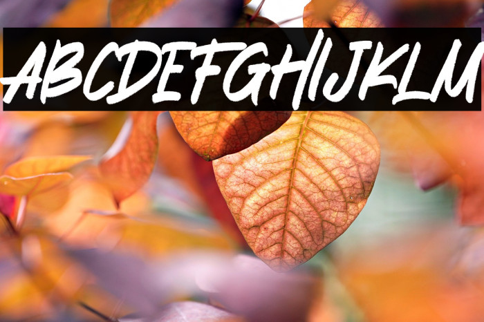 THE SHOCKER Example 3