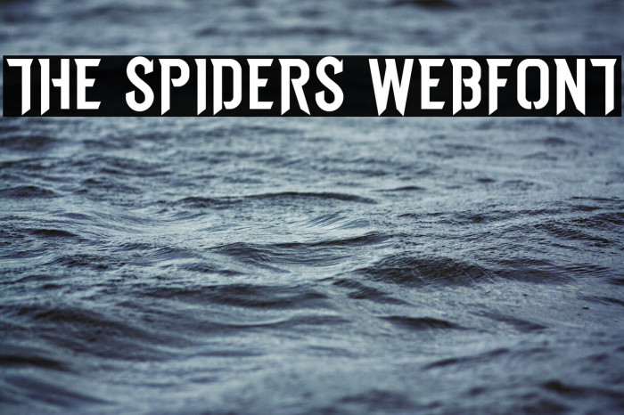 THE SPIDERS WEBFONT Font examples