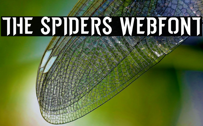 THE SPIDERS WEBFONT Font examples