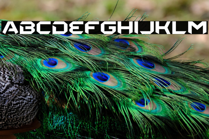 THE STARWILD Example 3