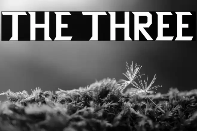 THE THREE Font examples