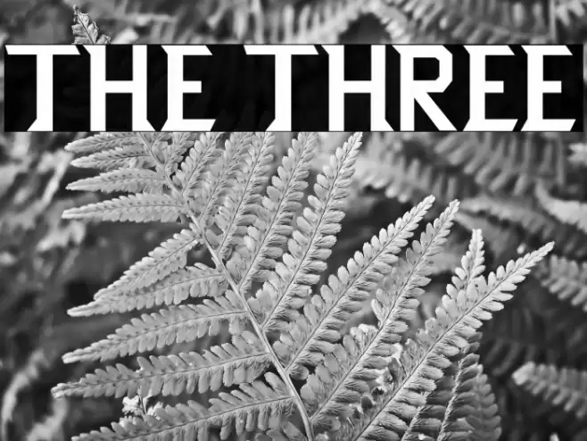 THE THREE Font examples