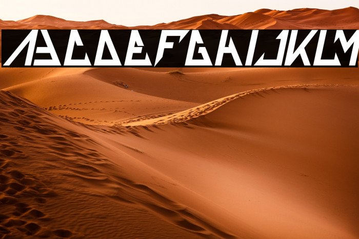 THE TRAINING ARTIST Bold Italic Example 1