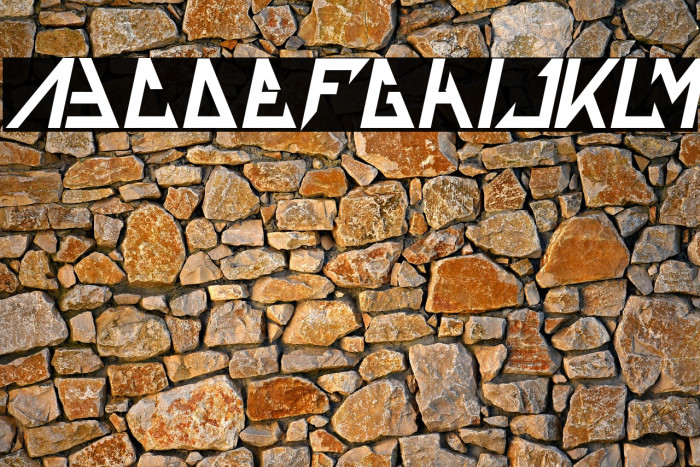 THE TRAINING ARTIST Bold Italic Example 2