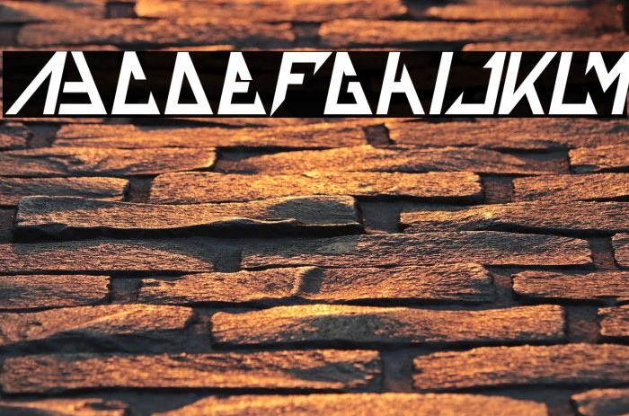 THE TRAINING ARTIST Bold Italic Example 3