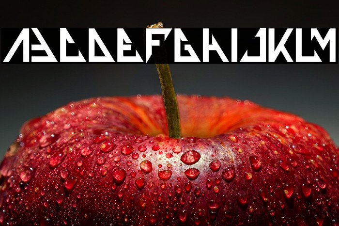 THE TRAINING ARTIST Bold Example 3