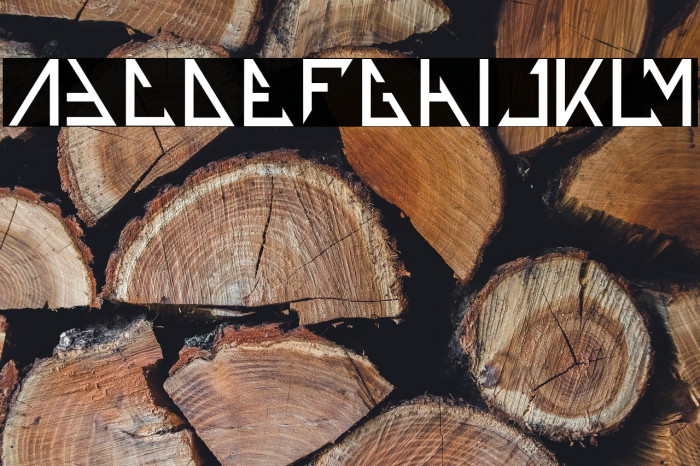 THE TRAINING ARTIST-Light Example 3