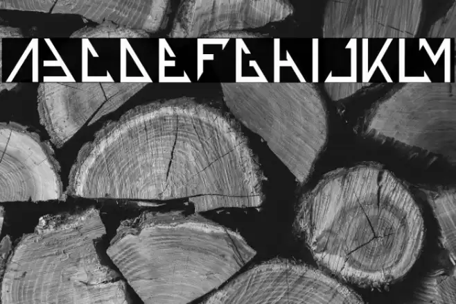 THE TRAINING ARTIST-Light Font examples