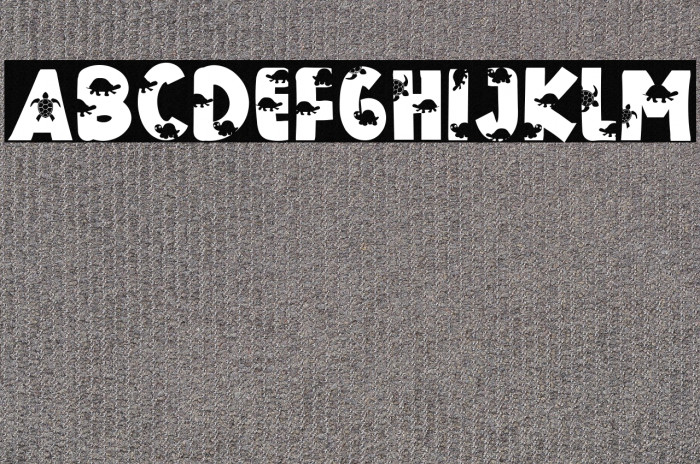 THE TURTLE Example 1