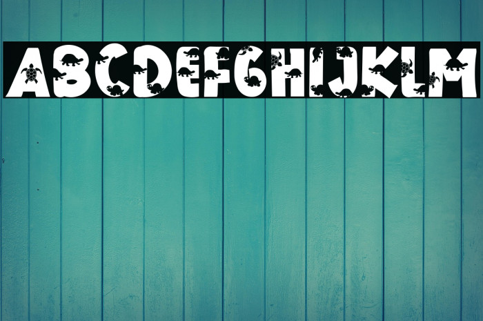 THE TURTLE Example 2