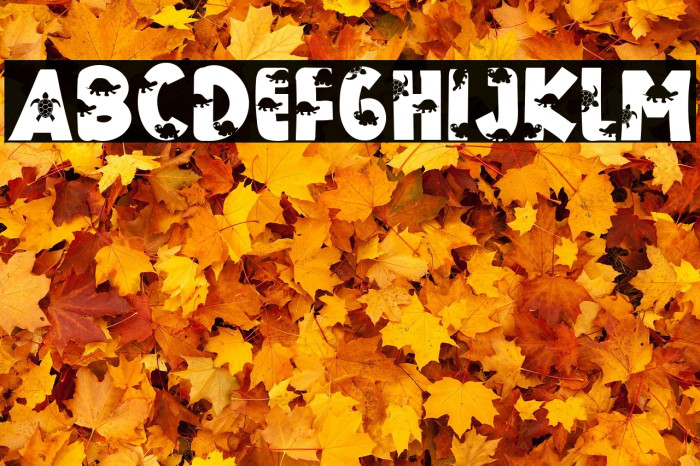 THE TURTLE Example 3