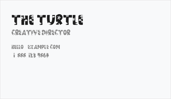 THE TURTLE Business Card