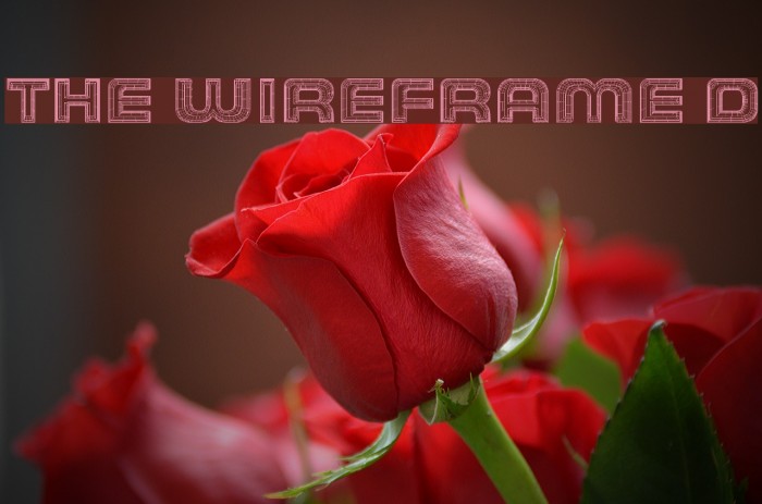 THE WIREFRAME Demo Font examples