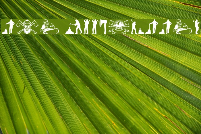 THE WOODCUTTER Font examples