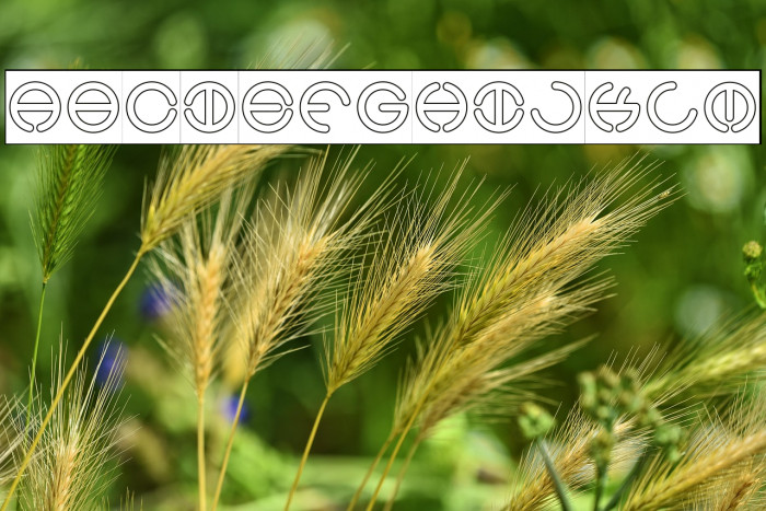 THE WORLD-Hollow-Inverse Example 1