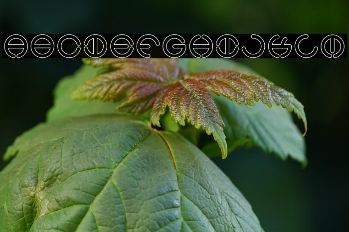 THE WORLD-Hollow Example 2