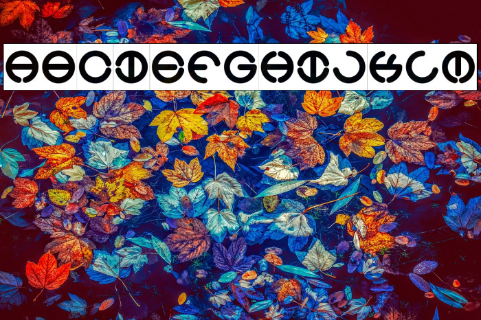 THE WORLD-Inverse Example 2