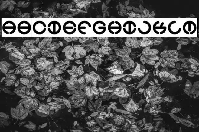 THE WORLD-Inverse Font examples