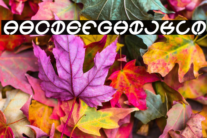 THE WORLD Italic Example 1