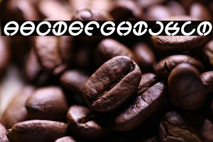 THE WORLD Italic Example 3