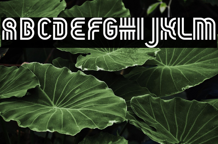 THEATERS DEMO REGULAR Example 2