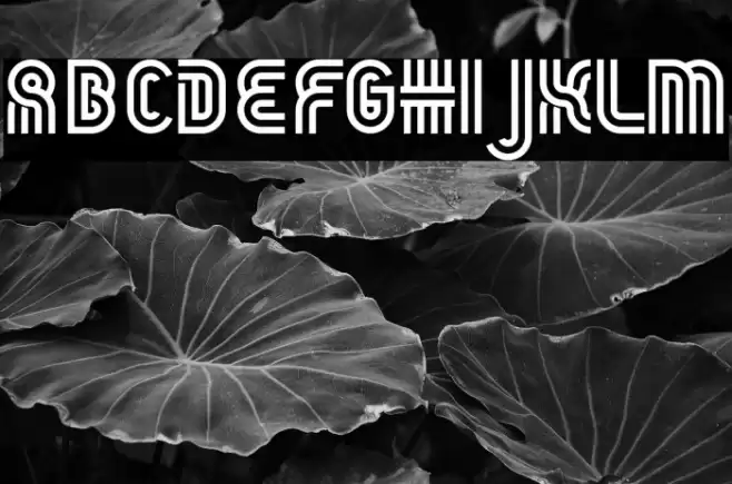 THEATERS DEMO REGULAR Font examples