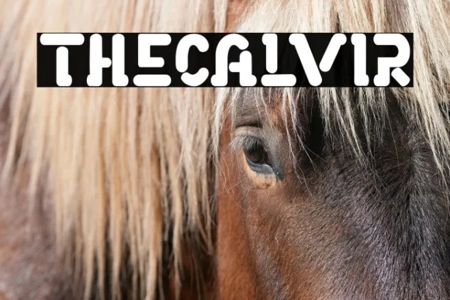 THECALVIR Example 1