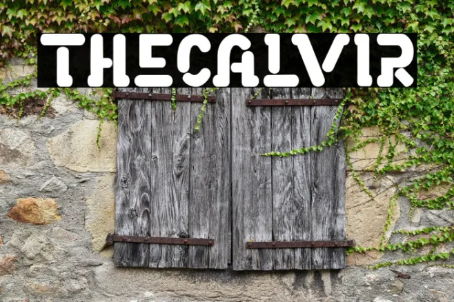 THECALVIR Example 3