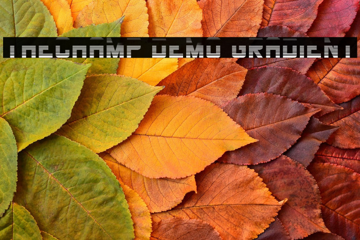 THECHAMP DEMO Gradient Example 3