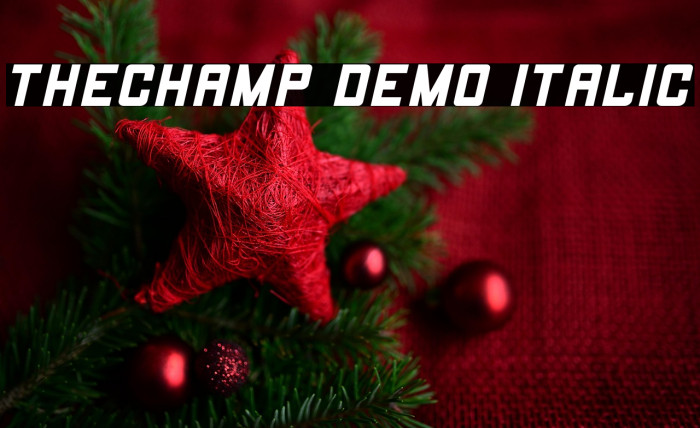 THECHAMP DEMO Italic Example 2