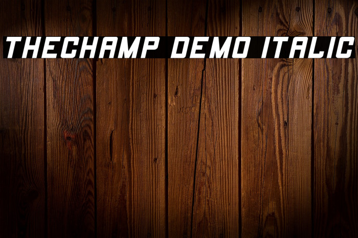 THECHAMP DEMO Italic Example 3