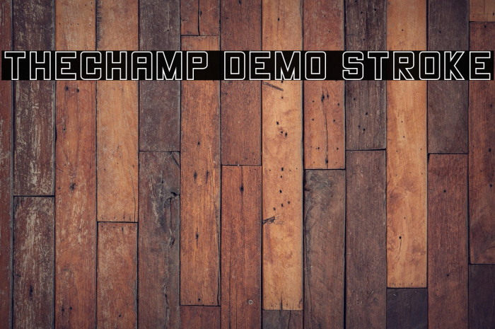 THECHAMP DEMO Stroke Example 1