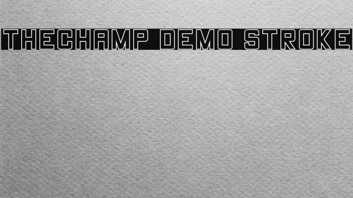 THECHAMP DEMO Stroke Example 2