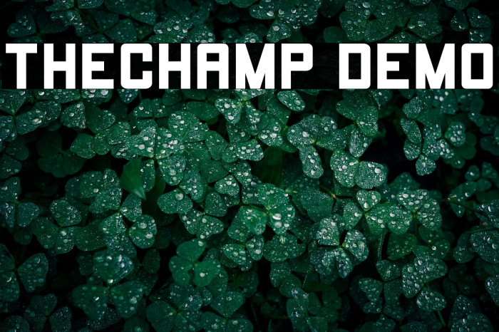 THECHAMP DEMO Example 1