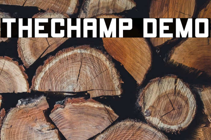 THECHAMP DEMO Example 3