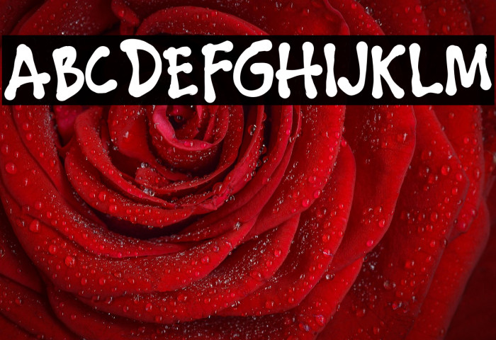 THEDARKOCEAN Example 2