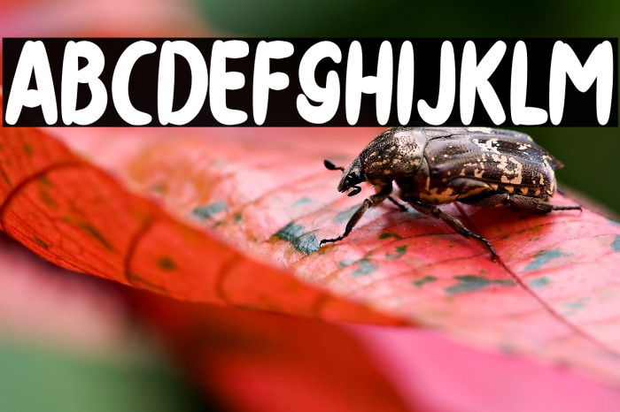 THEDISTRO-artdesign Example 1