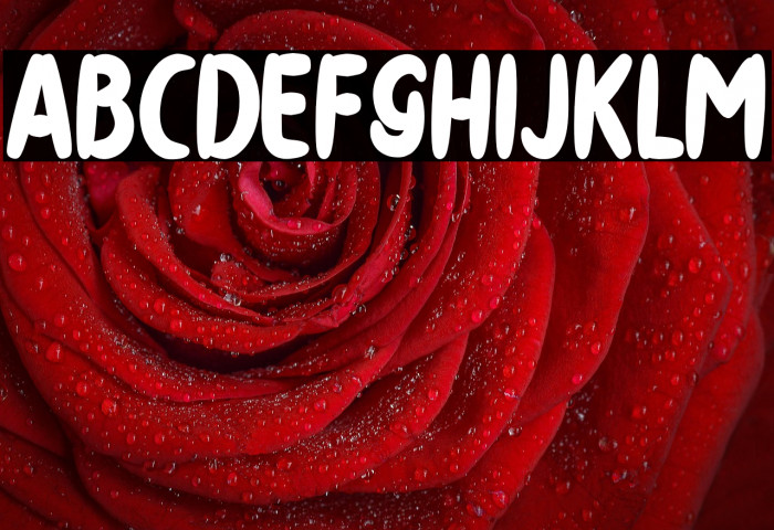 THEDISTRO-artdesign Example 3