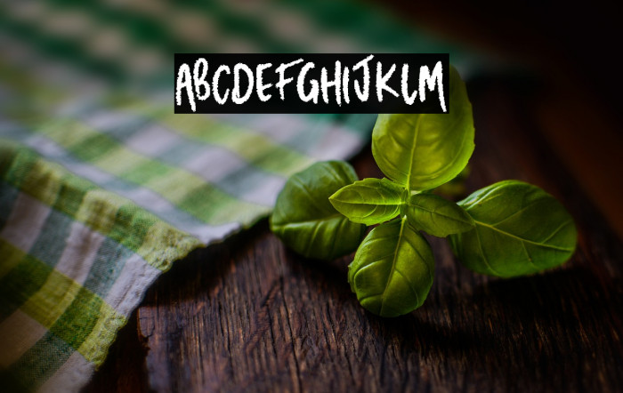 THEHUNTER-Regular Example 3