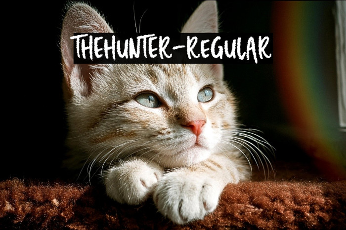 THEHUNTER-Regular Example 1