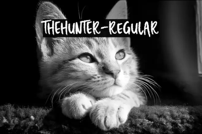 THEHUNTER-Regular Font examples