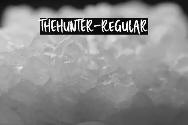 THEHUNTER-Regular Font examples