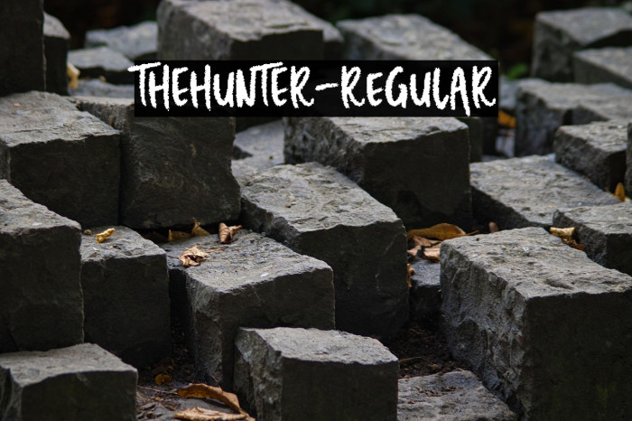 THEHUNTER-Regular Example 3