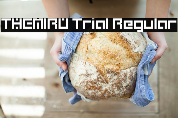 THEMIRU Trial Regular Example 1