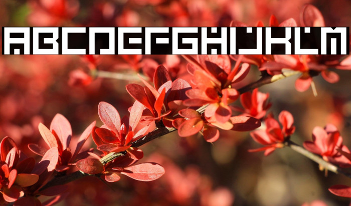 THEMIRUTrial-Regular Example 2