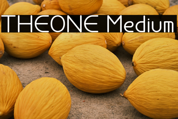 THEONE Medium Example 1