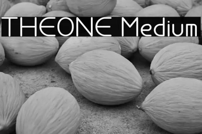 THEONE Medium Font examples
