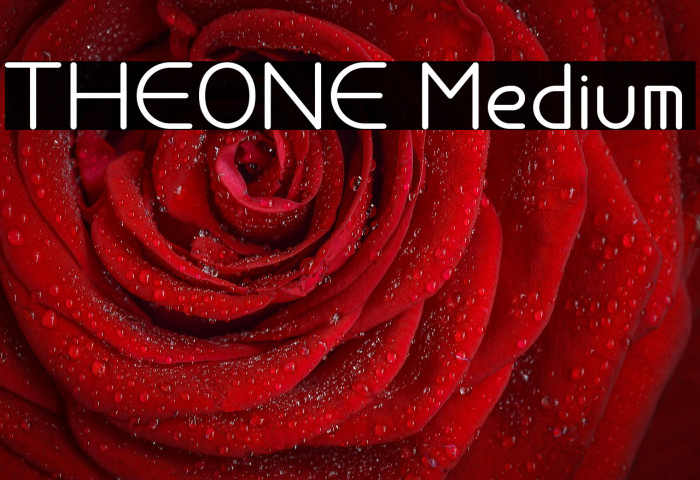 THEONE Medium Example 2
