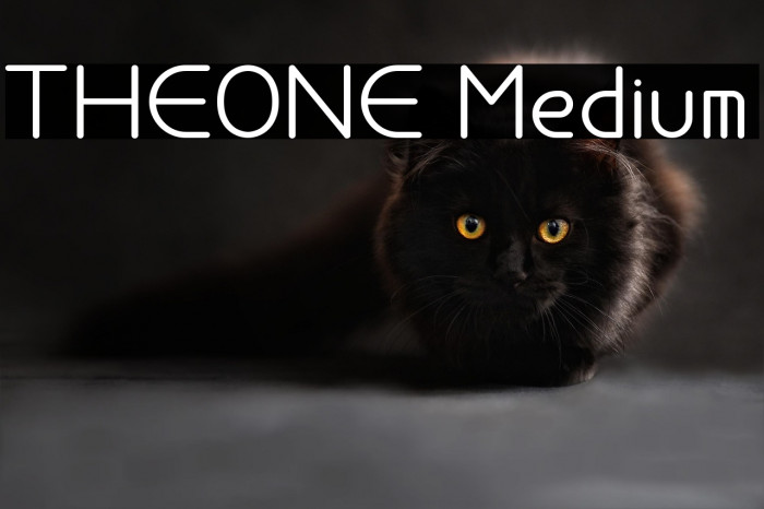 THEONE Medium Example 3